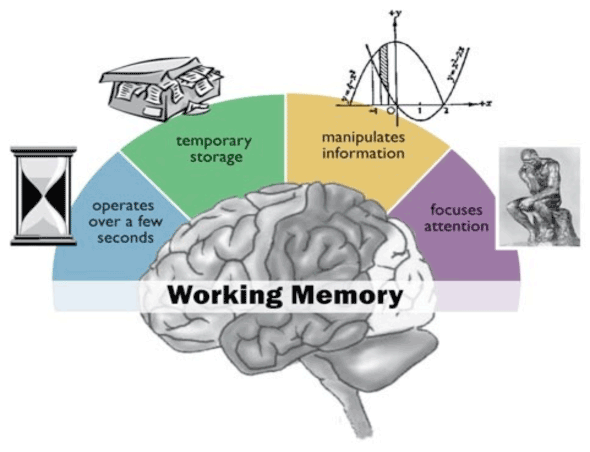 working-memory-2