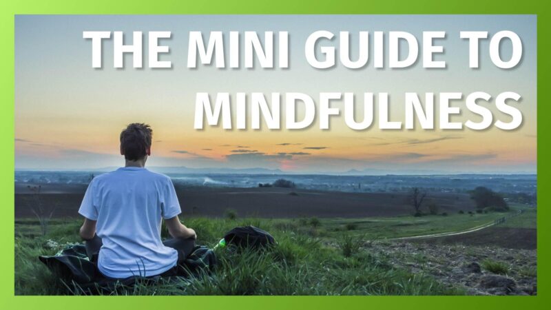 The Mini Guide To Mindfulness - Thom Byxbe's Research Desk